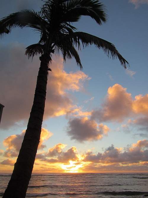 The 40th ANNUAL HAWAIIAN DENTAL FORUM was a huge success!